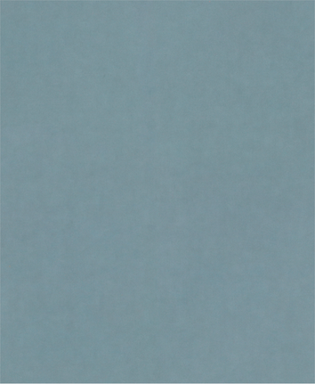 Bosch PRO C344 wet and dry G1500 sanding sheet.