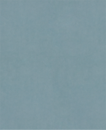 Bosch PRO C344 wet and dry sanding sheet, grit 2000.