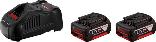 Cargador y baterías Bosch .