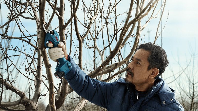 Una persona que usa equipo de seguridad poda ramas de árboles usando una tijera de podar inalámbrica.
