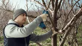 Poda de ramas de árboles al aire libre.