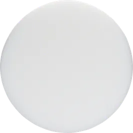 Bosch polishing sponge M14 thread, 160 mm diameter.