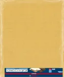 Bosch EXPERT C470 sandpaper sheet 230x280mm G150.