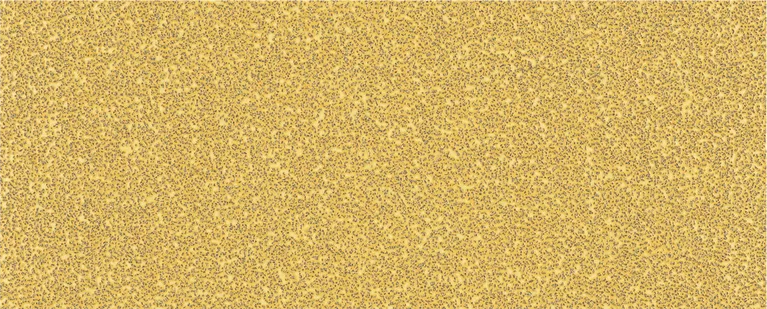 Bosch EXPERT C470 schuurpapier vel korrel 40 zonder gaten.