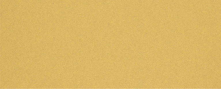 Bosch EXPERT C470 Schuurpapier G80 zonder gaten voor excenterschuurmachines.