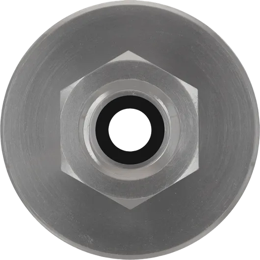 Bosch PRO-adapter voor vetpistool met 500 g schroefpatroon.