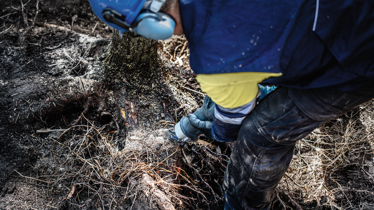 EXPERT ‘Tough Wood’ S 1142 KHM Reciprocating Saw Blade 1-pc A reciprocating saw blade cuts through thick tree branches on the ground.