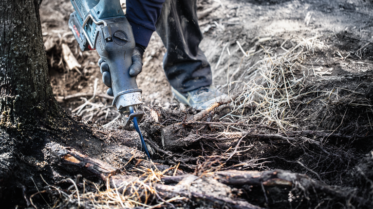 EXPERT ‘Tough Wood’ S 1142 KHM Reciprocating Saw Blade 1-pc Person wearing safety equipment uses a reciprocating saw to cut through a tree root.