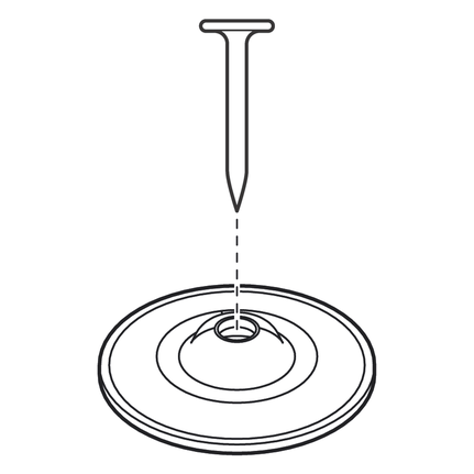 Metal washer and nail.