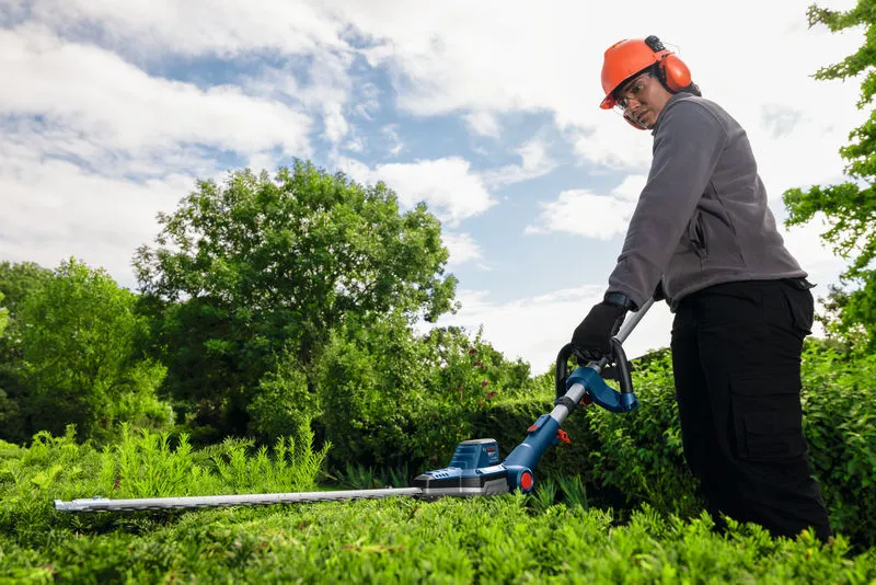 A person wearing safety equipment trims hedges with a cordless hedgecutter outdoors.