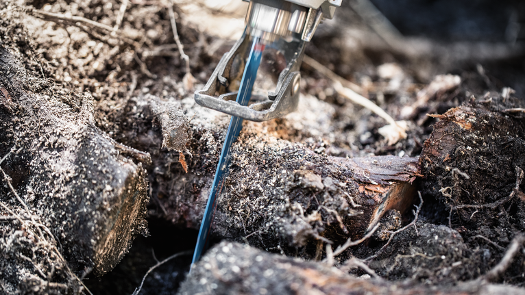 Reciprocating saw blade cutting through thick branches outdoors.