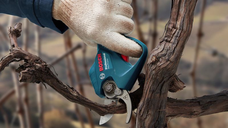 bosch electric pruning saw