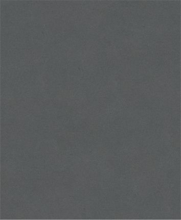 Bosch PRO C344 wet and dry sanding sheet G500.