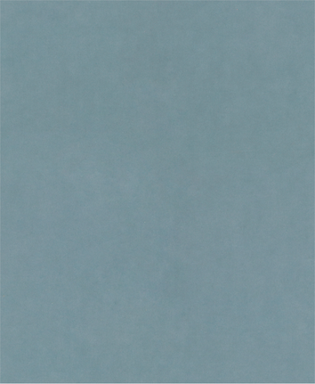 Bosch PRO C344 wet and dry sanding sheet, 1200 grit.