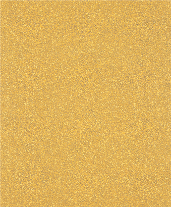 Hoja de lija Bosch EXPERT C470 grano 40 sin agujeros.