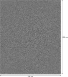Rodillo de lijado Bosch PRO C355 230x280 mm grano 80.