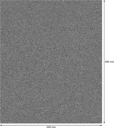 Rodillo de lijado Bosch PRO C355 230x280 mm grano 80.