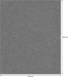 Rodillo de lijado Bosch PRO C355 230x280 mm G120.