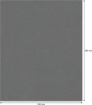 Rodillo de lijado Bosch PRO C355 230x280 mm Hoja G240.