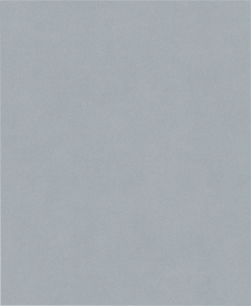 Rodillo de lijado Bosch PRO C355 de 230x280 mm, grano 1200.