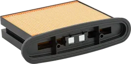 Filtro de fuelle de celulosa Bosch 4300 cm² para extracción de polvo.