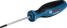 Bosch T15 x 75 Professional Torx screwdriver.