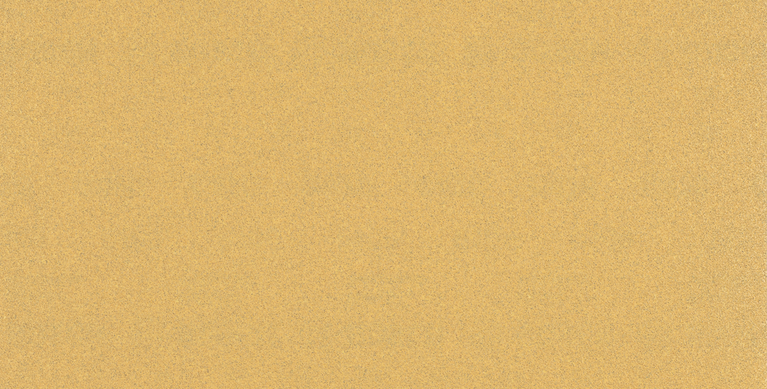 Papier ścierny Bosch EXPERT C470 o gradacji 100 z 14 otworami.