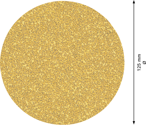 Disco de lixa Bosch EXPERT C470 125 mm grão 40.