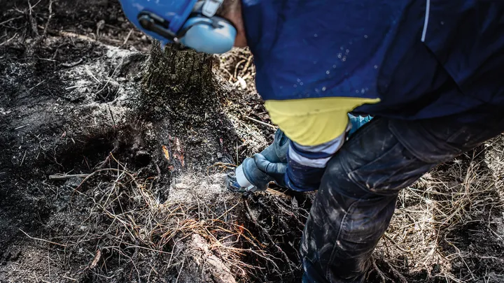 Uma lâmina de serra alternativa corta ramos grossos de árvores no solo.
