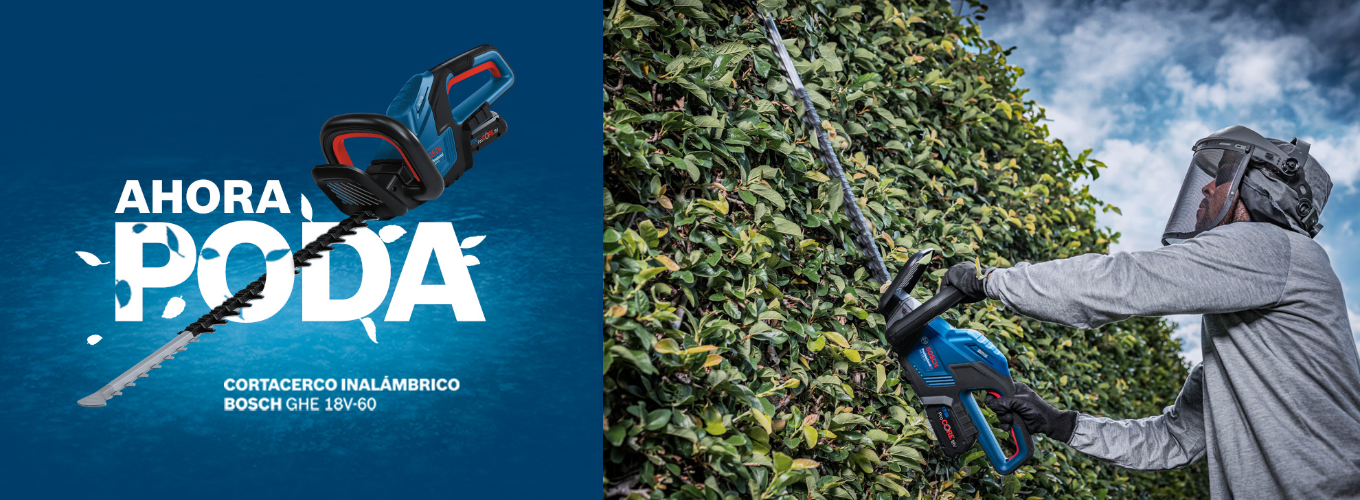 Un hombre poda un seto con un cortacésped Bosch GHE 18V-60, cielo azul.