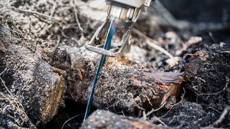 A reciprocating saw blade cuts through thick tree branches on the ground.