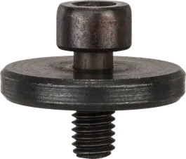 Accesoriu cu pinsă Bosch cu diametrul de 76 mm.