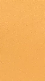 Foaie abrazivă Bosch C470, granulație 100, fără găuri.