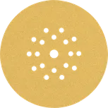 Șmirghel Bosch EXPERT C470 225 mm cu 19 găuri.