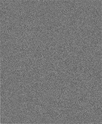 Rolă de șlefuit Bosch PRO C355 G80, 230x280 mm.