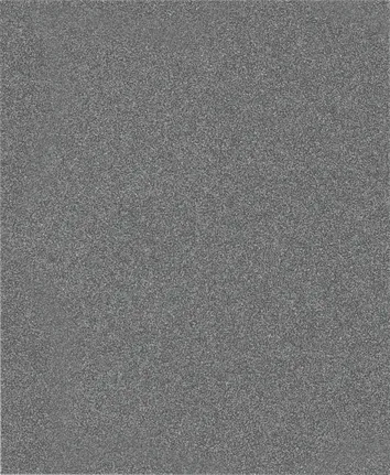 Rolă de șlefuit Bosch PRO C355, foaie G120.