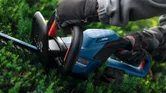 O persoană purtând echipament de siguranță tunde tufișuri cu o mașină de tuns gard viu fără fir albastră.