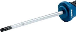Bosch T25×100 screwdriver with long S2 steel shaft.