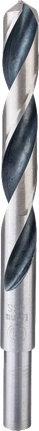 Bosch HSS-spiralborr PointTeQ 12,5 mm reducerat skaft.