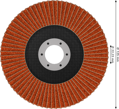 Bosch EXPERT X782 125 mm kotni lamelni disk G80.
