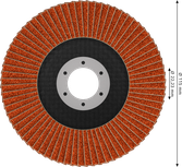 Lamelni brusilnik Bosch EXPERT X782 115 mm G80 za kotne brusilnike.