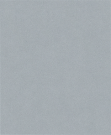 Brúsny valec Bosch PRO C355, list G320.