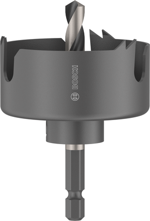 Dierová píla na drevo a sadrokartón Bosch s upínacím hrotom 54 mm.