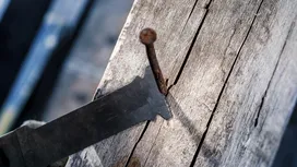 Eski bir ahşaba gömülü paslı bir çiviyi kesen alternatif testere bıçağı.