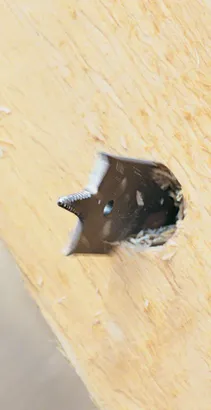 Object #200011394: 2847927_app_wide_03