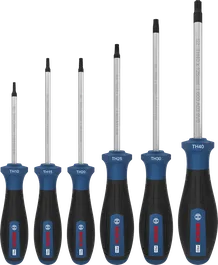 Bosch PRO Screwdriver Set TH, 6 pcs with S2 shafts.