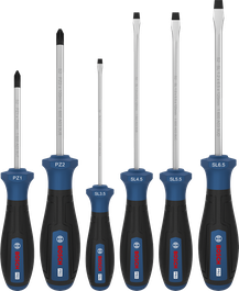 Bosch PRO Screwdriver Set PZ/SL 6 pcs with S2 shafts.